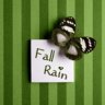 fall.rain