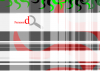 paramond.png