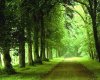 springscape11280.jpg