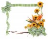 Frame for majid online (7).jpg