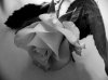 flower1.jpg