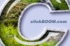 clickBOOM.com_photo_glass_II.jpg