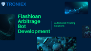 Flashloan Arbitrage  Bot Development.png