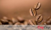 coffee-beans.jpg