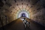 Robots-in-Data-Collection-Leicas-BLK-ARC-and-Spot-Redefining-Environmental-Mapping-Featued.jpg