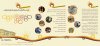catalog-forweb-2.jpg