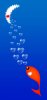 fish.jpg