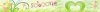 header.jpg