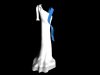 dress_02.jpg