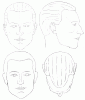 male-head.gif