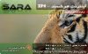 SARA-internetcard5.jpg
