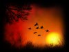 sunset_02.jpg