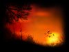 SunSet_03.jpg