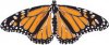 butterflies_2_ill8_resize.jpg