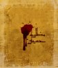 Amir_hesari-MOHARAM (80).jpg