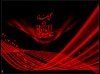 Amir_hesari-MOHARAM (112).jpg