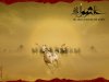 Amir_hesari-MOHARAM (114).jpg