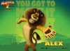 madagascar- wallpaper_3.jpg