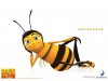 Bee Movie_wallpaper-del-film-bee-movie-67447.jpg