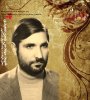 shahid2.jpg