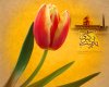 nakhlestan_zeinam_m-800.jpg