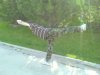 DSC015546.jpg