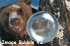 Image Bubble V2.jpg