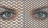 Diamond Mesh Grilles.jpg