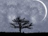 night design1.jpg