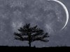 night edit1.jpg