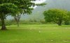 7847_Nature_digital_image_7_8.jpg