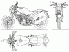 ducati monster4.gif