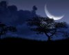 moon.jpg