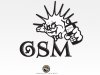Gsm.jpg