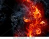stock-photo-fiery-flower-24219067.jpg