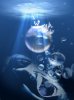 underwater1.jpg