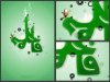 fateme-2-green.jpg