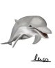 Dolphin.jpg