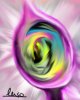 Dream Of Colors.jpg