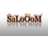 SaLoom3.jpg