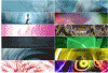 Untitled-3.gif