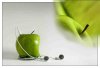Apple_iPod_by_Martyred.jpg