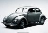 0625Bug2.jpg