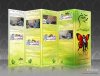 Brochure_MajidOnline_A1_by_Erfanix.jpg