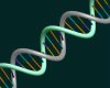 dna_rgb.jpg