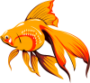 Golden_Fish_clip_art_hight.png