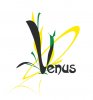 logo_venus_01.jpg
