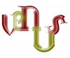 VENUs logo-pp.JPG