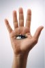 eyes.jpg