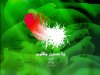 ARBAEEN.jpg